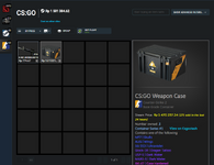 Weapon Case.png