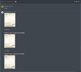 Evidence Salhpira 7.png