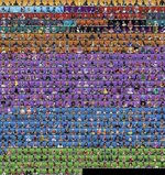 IMG_7881.jpeg