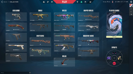 Collection.PNG