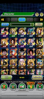 Screenshot_2023-10-31-09-45-39-145_com.bandainamcogames.dbzdokkanww.jpg