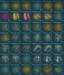 bp2.jpg