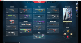 Val Skin Collection.png