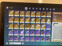 IMG_0087.jpeg