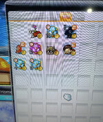 IMG_2510.jpeg