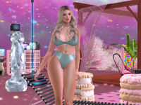 Snapshot_005.png