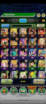 Screenshot_2023-11-25-07-30-10-270_com.bandainamcogames.dbzdokkanww.jpg