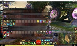 GW2_acc_1_02.jpg