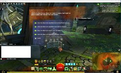 GW2_acc_1_04.jpg