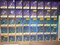 IMG_0504.jpeg