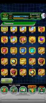 Screenshot_2023-12-17-23-36-11-019_com.bandainamcogames.dbzdokkanww.jpg