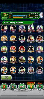 Screenshot_2023-12-17-23-45-56-834_com.bandainamcogames.dbzdokkanww.jpg