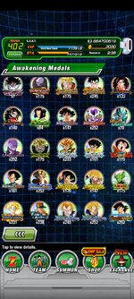 Screenshot_2023-12-17-23-45-59-743_com.bandainamcogames.dbzdokkanww.jpg
