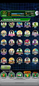 Screenshot_2023-12-17-23-46-02-760_com.bandainamcogames.dbzdokkanww.jpg