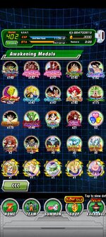Screenshot_2023-12-17-23-46-06-401_com.bandainamcogames.dbzdokkanww.jpg