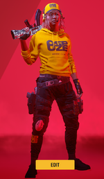 Display Acc.png