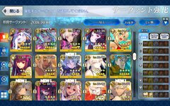 Screenshot_20231224-051736_FateGO.jpg