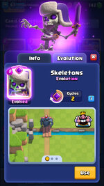 skuls.jpg