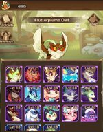 Pet 1.JPG