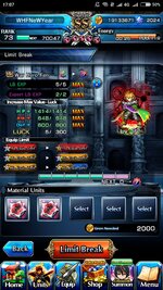 Screenshot_2023-12-30-17-07-45-841_jp.goodsmile.grandsummonersglobal_android.jpg