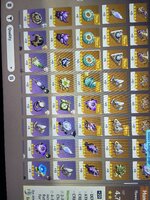 IMG_0513.jpeg