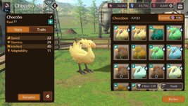 13 Chocobo.jpg