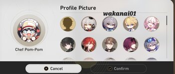 Screenshot_20240106-114045_HonkaiStarRail.jpg