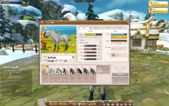 account 2.png