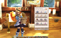 items other 2.png
