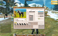 account 3.png