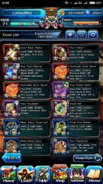 Screenshot_2024-01-17-20-58-56-592_jp.goodsmile.grandsummonersglobal_android.jpg