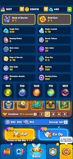 Screenshot_20240122_211817_Rush Royale.jpg