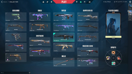 Collection.PNG
