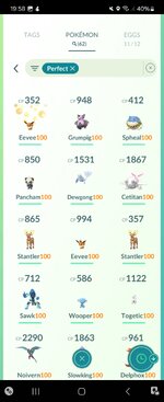 Screenshot_20240128_195808_Pokmon GO.jpg