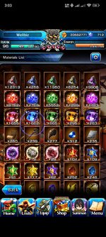 Screenshot_2024-01-29-03-03-59-608_jp.goodsmile.grandsummonersglobal_android.jpg