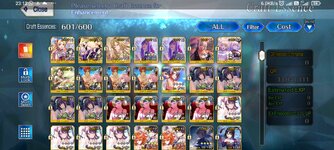 Screenshot_2024-01-30-23-12-39-444_com.aniplex.fategrandorder.en.jpg