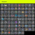 IMG_2642.jpeg
