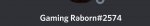 Screenshot_20190822-052438_Discord~01.jpg