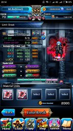 Screenshot_2024-02-02-20-14-21-782_jp.goodsmile.grandsummonersglobal_android.jpg