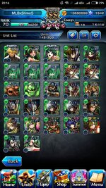Screenshot_2024-02-02-20-16-36-127_jp.goodsmile.grandsummonersglobal_android.jpg