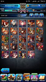 Screenshot_2024-02-02-20-16-55-408_jp.goodsmile.grandsummonersglobal_android.jpg