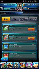 Screenshot_2024-02-02-20-21-36-134_jp.goodsmile.grandsummonersglobal_android.jpg