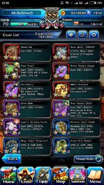 Screenshot_2024-02-02-20-30-35-283_jp.goodsmile.grandsummonersglobal_android.jpg