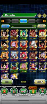 Screenshot_2024-02-04-13-33-19-235_com.bandainamcogames.dbzdokkanww.jpg