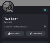 Screenshot_20240206-203755_Discord.png