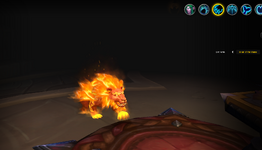cat 2.PNG