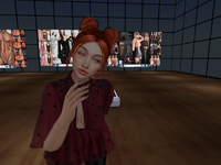 Snapshot_002.png