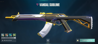 aa.png