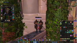 spellhance shammy.png