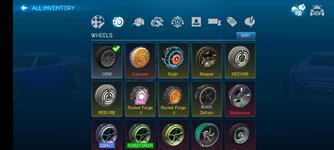 Screenshot_2024-02-22-21-09-34-307_com.Psyonix.RL2D.jpg